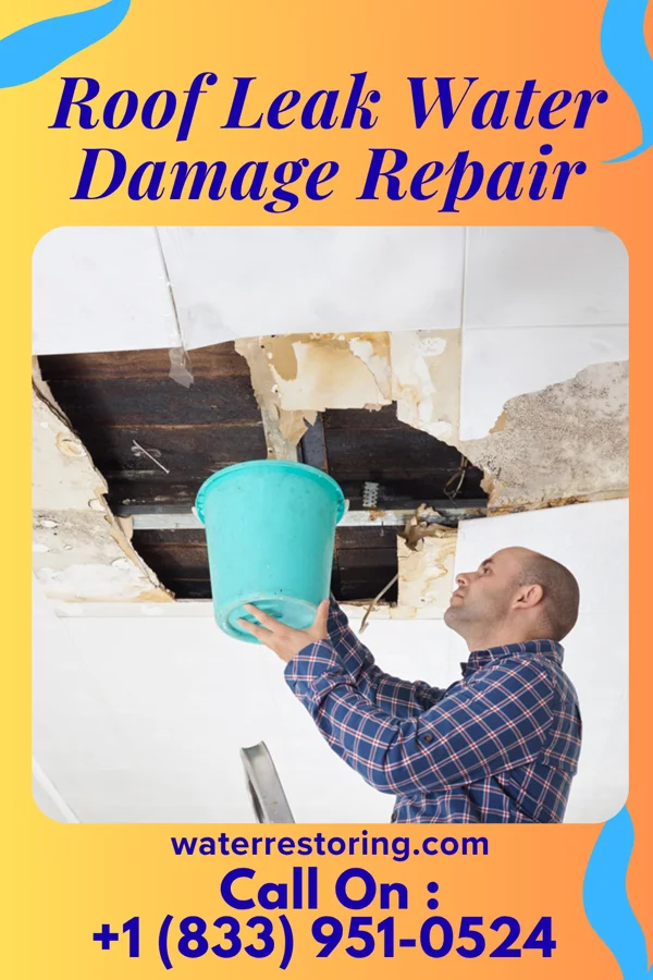 Roof Leak Water Damage Repair in Park City, TN