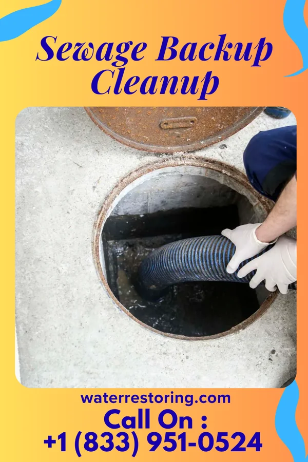 Sewage Backup Cleanup in Park City, TN