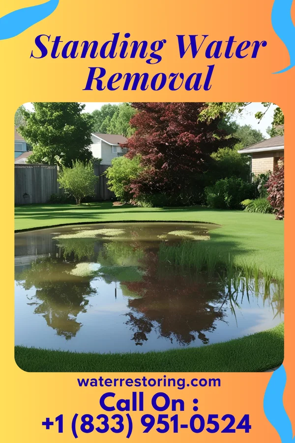 Standing Water Removal in Park City, TN